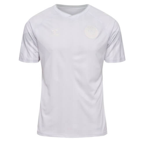 Denmark national team shirt away 2022-2023